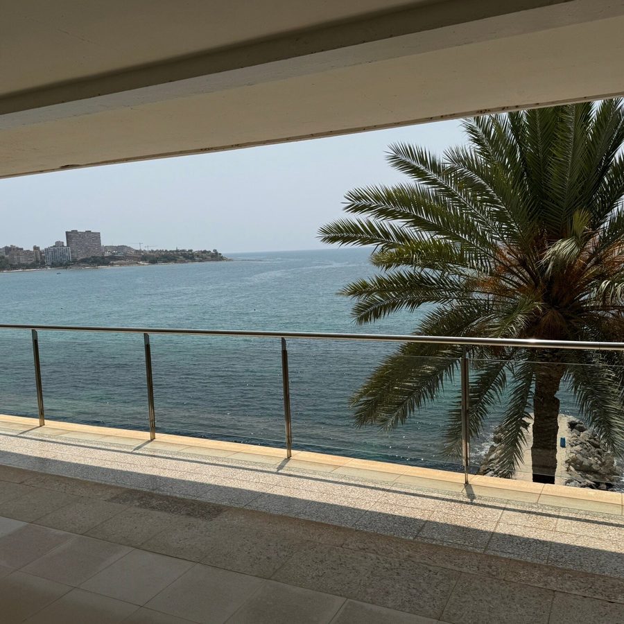 Vista de la Albufereta con palmera